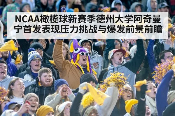 college football stadium crowd